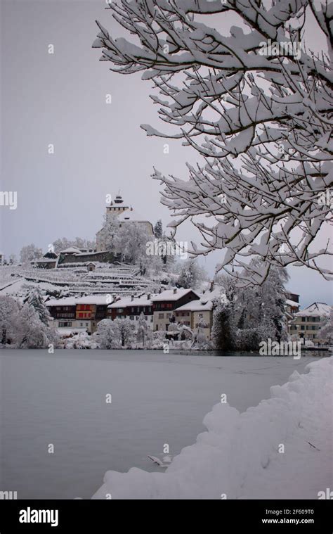 Winter time at the castle Werdenberg in Buchs in Switzerland 15.1.2021 Stock Photo - Alamy