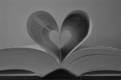 The Book Of Love Free Stock Photo - Public Domain Pictures