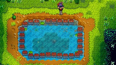 Best Places for Crab Pot Farming in Stardew Valley