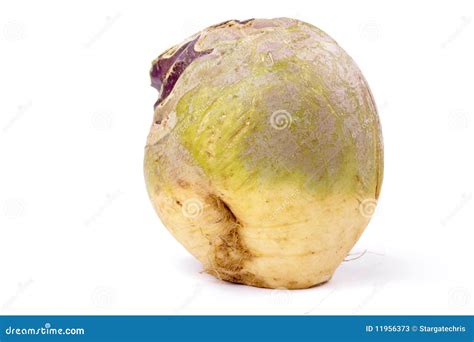 Swede or Turnip stock image. Image of fiber, root, background - 11956373