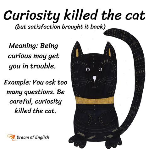 Curiosity Killed the Cat Idiom Meaning - Edwin-has-Lynch