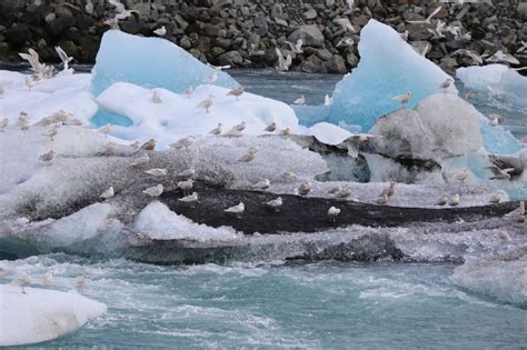 Jökulsárlón, Glacier Lagoon – Geeky Girl Engineer