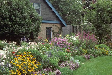 Pollinator Garden Missouri - Okejely Garden Plant