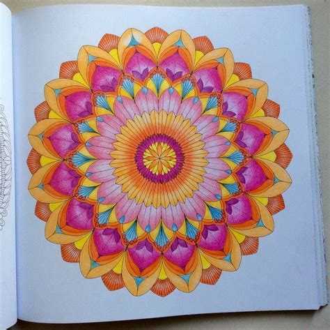Millie Marotta Tropical Wonderland Coloring Book Coloring Book Pages, Adult Coloring Books ...