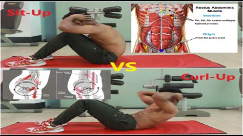 Sit-up VS Curl-up. What's the difference? - YouTube