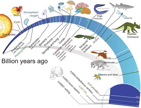 Origin and Evolution of Life on Earth - PMF IAS