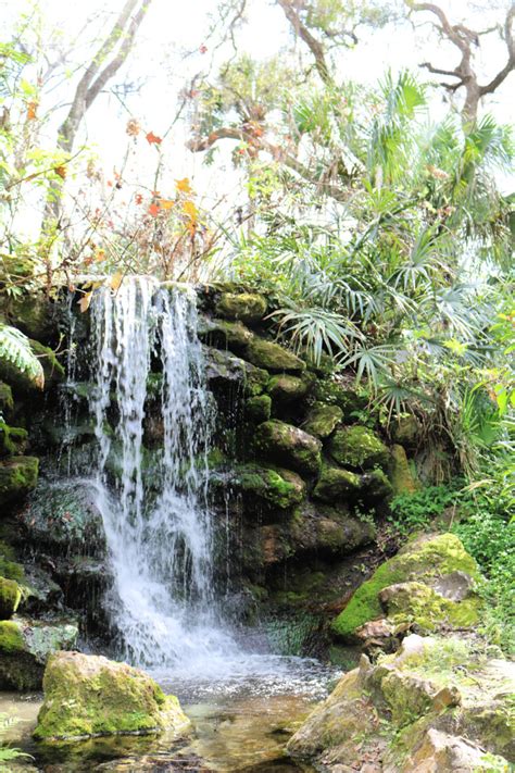 Rainbow Springs State Park Florida