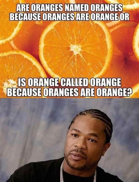 Orange | Stupid funny memes, Stupid funny, Really funny memes