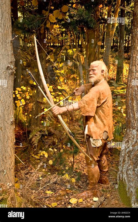 Man shooting arrow in archery hunting Stock Photo - Alamy