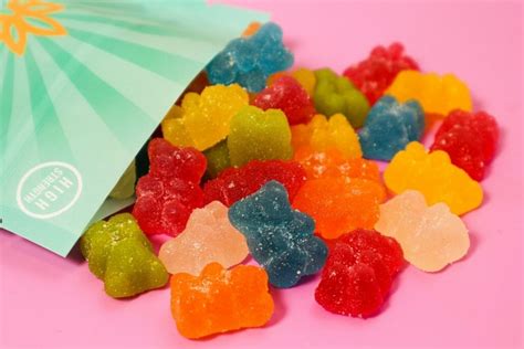 Are Motts Gummies Vegan? Find Out Here!