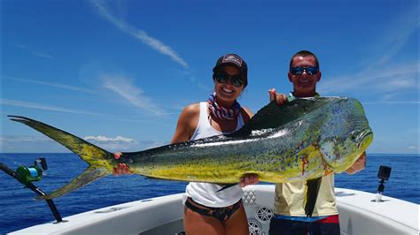 GIANT Dolphin Caught in the Bahamas! Catch Clean Cook- Mahi Mahi (Dorado)