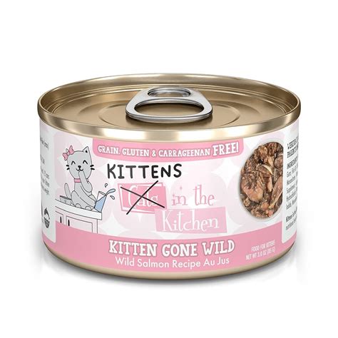 10 Best Wet Food for Kittens