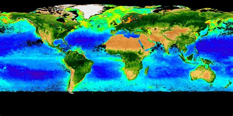 The Earth’s Biosphere : Image of the Day