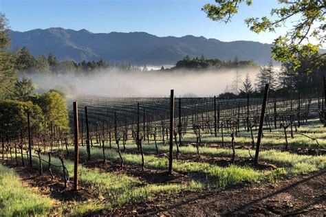 The 15 Best Wineries in Calistoga - NapaValley.com