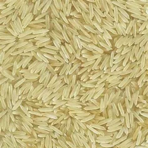 Ponni Rice at best price in Tiruppur by Sri Amarnath Enterprises | ID: 14033069088