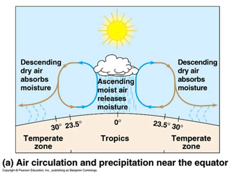 WEATHER- THE HADLEY CELL Flashcards | Quizlet