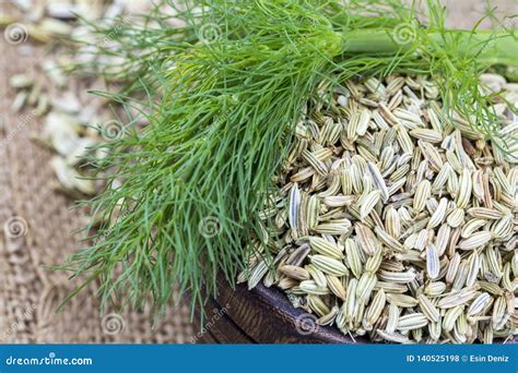 Dried Herb, Fennel Seeds Isolated, Top View Stock Photo - Image of ...