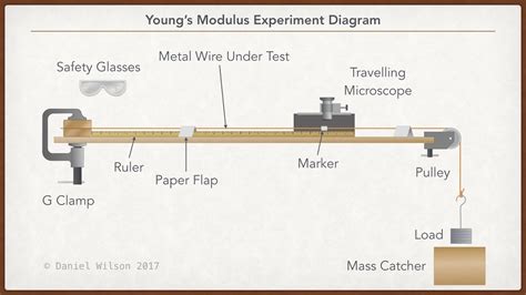 conclusion young modulus experiment