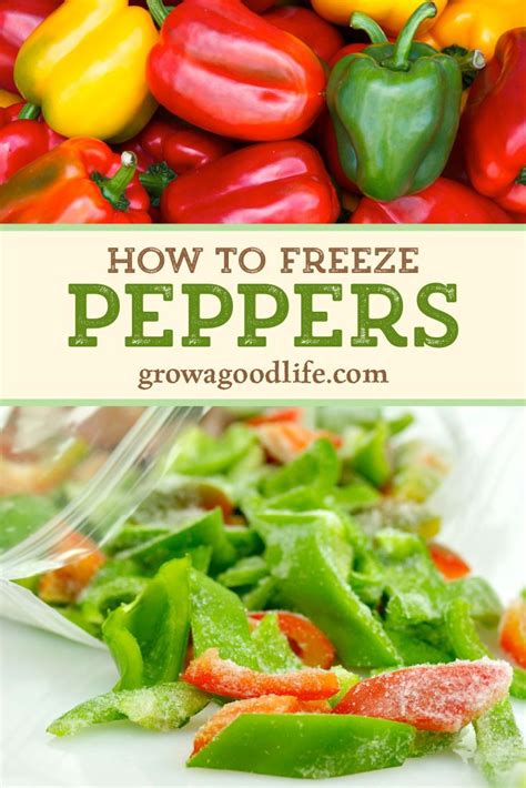 How to Freeze Peppers | Recipe | Stuffed peppers, Freezing peppers, Stuffed sweet peppers