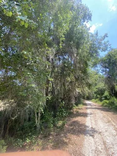 Best Wheelchair Friendly Trails in Lake Apopka Restoration Area | AllTrails