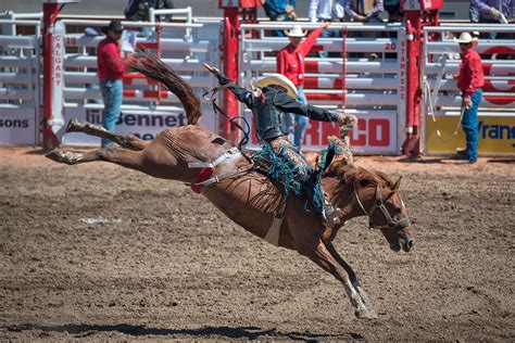 Photos: The Calgary Stampede celebrates 105 years | Canadian Geographic