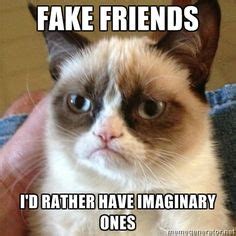 A grumpy cat meme about fake friends. The righteous should choose his ...