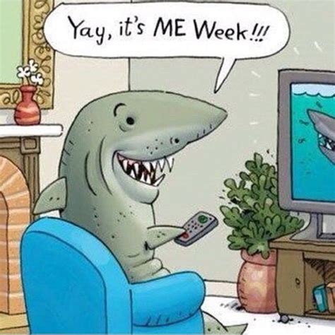 Shark Week | Funny cartoons jokes, Sharks funny, Funny cartoons