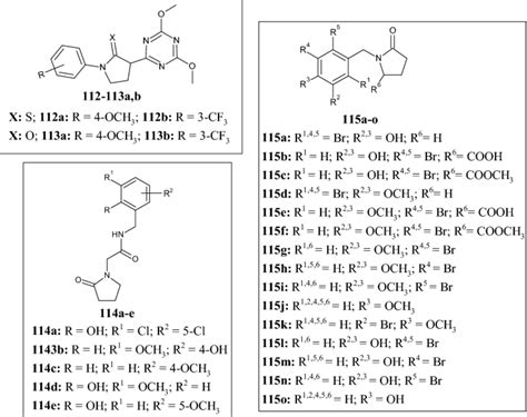 Pyrrolidine in Drug Discovery: A Versatile Scaffold for Novel ...