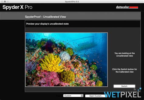 Review: Datacolor SpyderX Pro :: Wetpixel.com