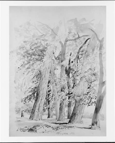 David Johnson | Trees | American | The Metropolitan Museum of Art