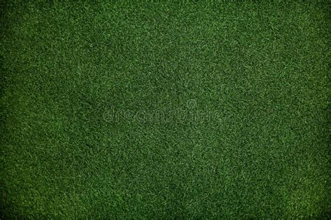 Dark Green Grass Texture