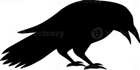 Halloween Crow Silhouette 12509206 PNG