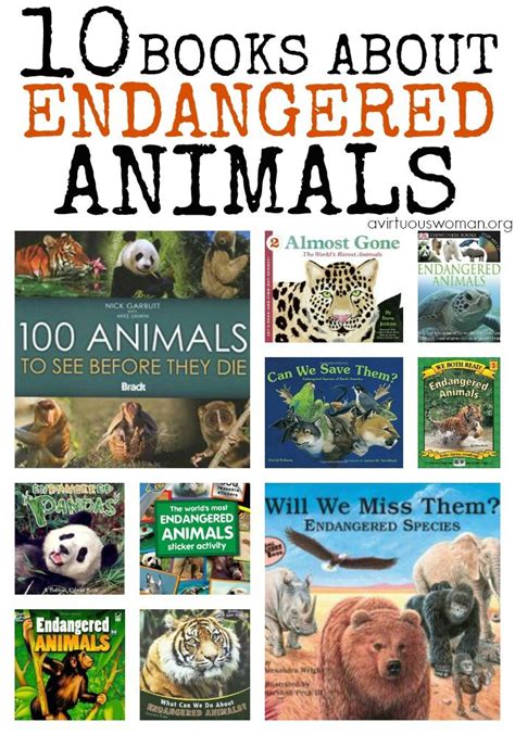 10 Books about Endangered Animals - A Storybook Day | Endangered animals activities, Endangered ...