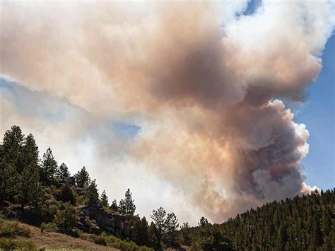 Co-ops Mitigating Colorado Wildfire Risks - Colorado Country Life Magazine