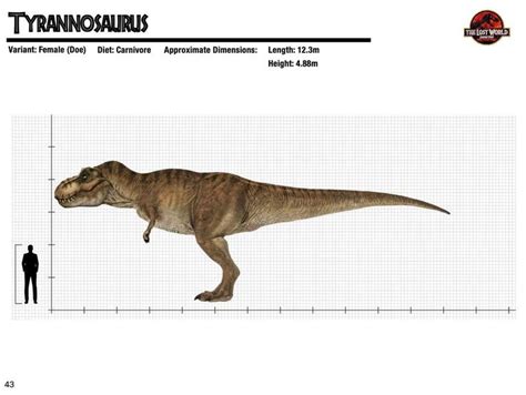 Jurassic Park Dinosaur Measurement