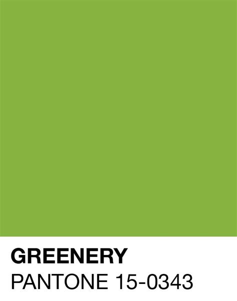 Pantone's 2017 Color of the Year, Greenery | Pantone green flash, Pantone color, Pantone colour ...