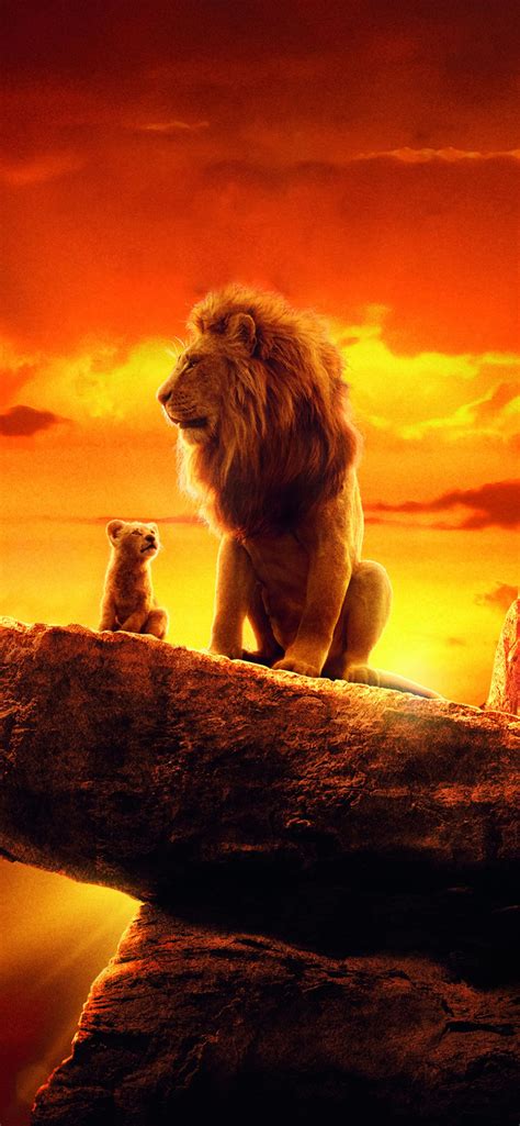 the lion king 2019 4k movie iPhone 12 Wallpapers Free Download