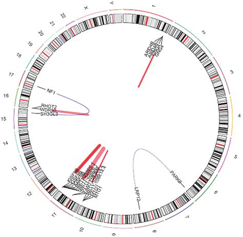 Fusion gene map showing fusion of genes in sample 193. | Download Scientific Diagram