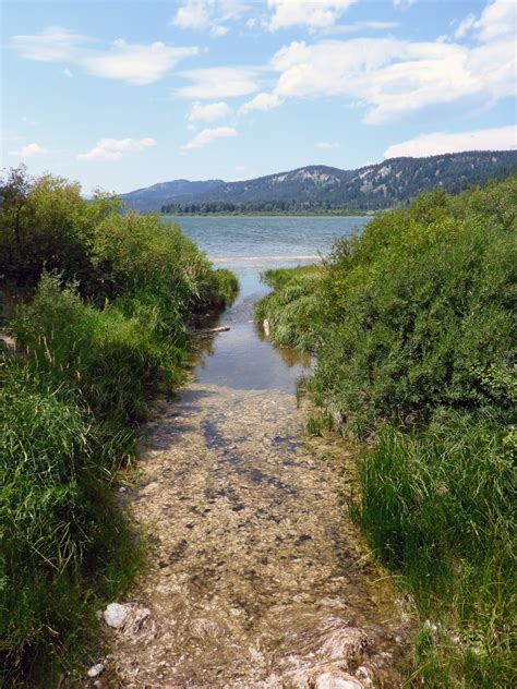 Inlet: Two Ocean Lake Trail, Grand Teton National Park, Wyoming