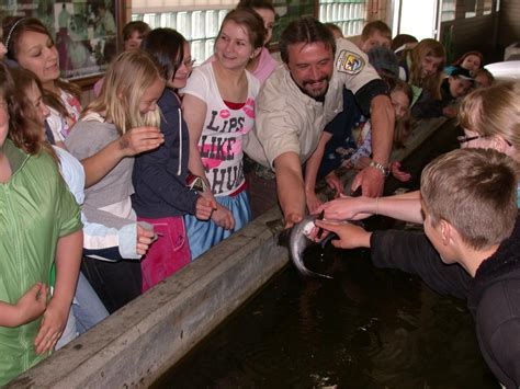 Garrison Dam National Fish Hatchery and Aquarium | Official North Dakota Travel & Tourism Guide