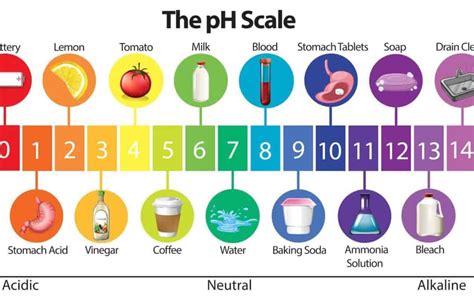 pH – What You need to Know | Treat My Water