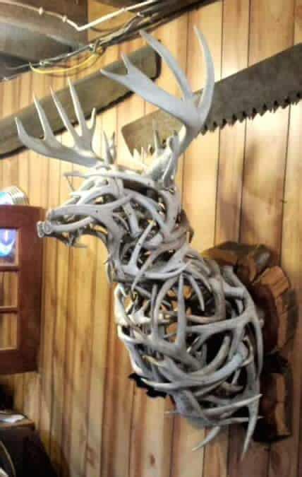 20+ Ways To Display Deer Sheds – The Urban Decor