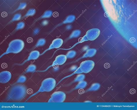 Sperm and Egg Cell on Microscope. Scientific Background Stock ...