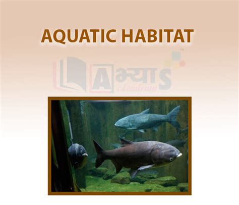 Aquatic Habitat