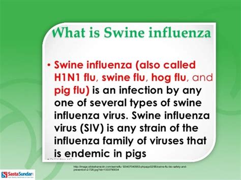 Prevention of swine flu