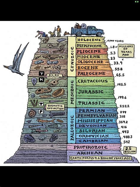 Prehistoric life guide | Earth science, Geology, Science and nature