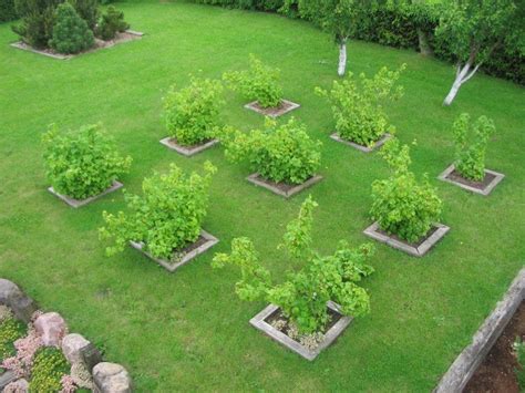 35 Excellent Backyard orchard Layout - Home, Family, Style and Art Ideas