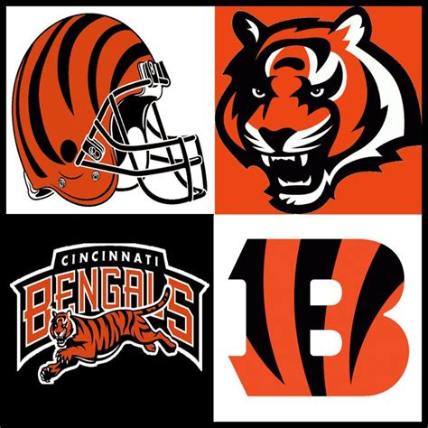 Bengals - RyderEddyarmyspy