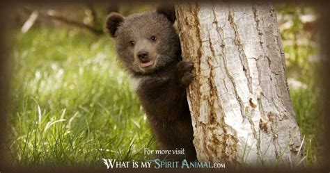 Bear Symbolism & Meaning | Spirit, Totem & Power Animal