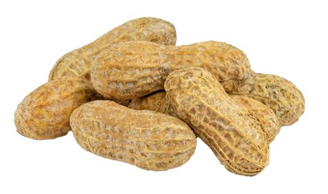 Peanut PNG Transparent Images, Pictures, Photos